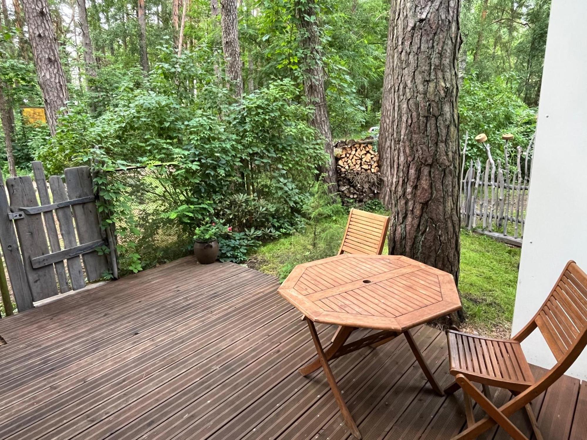 Sea Dune Kalnu Saulkrasti